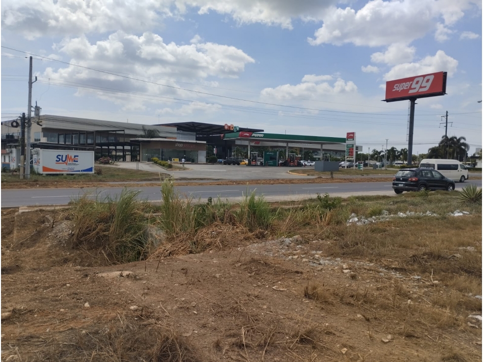 Se Vende Terreno de 12,542M2 sobre la Vía Interamericana en Aguadulce - 4
