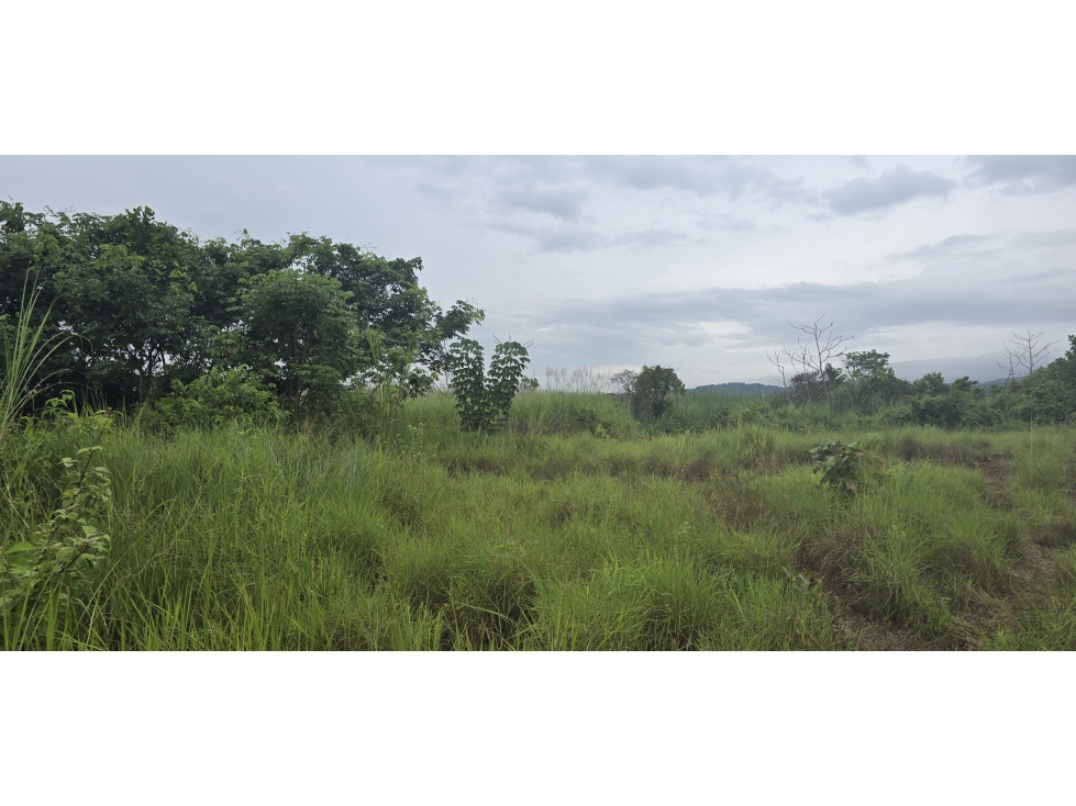 Se Vende Terreno Industrial de 31,450M2 en la salida Corredor Norte — foto 2