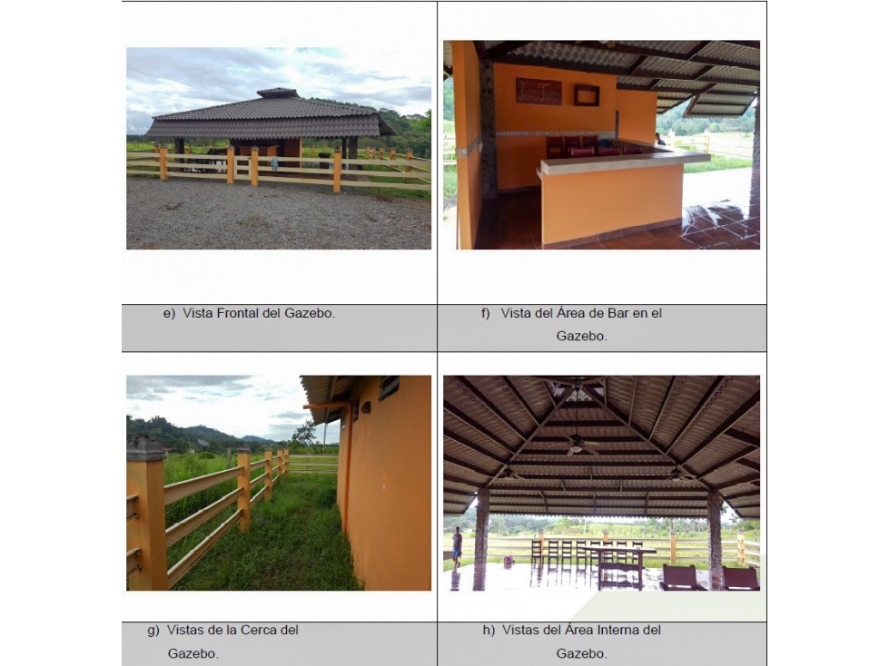 Se Vende Finca de 146 Hectáreas en Los Naranjos-David,Vía Panamericana — foto 2