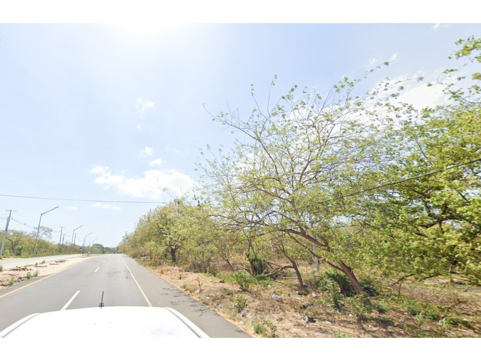 Se Vende o Alquila Terreno de 6063M2 pasando entrada Playa Blanca - 1