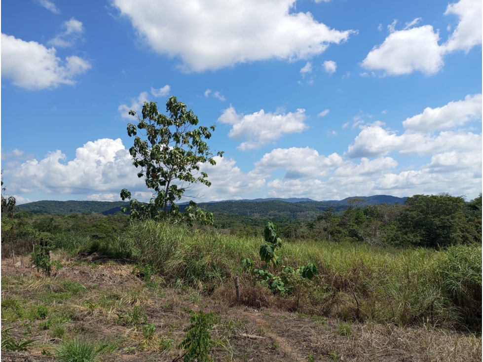 Venta Terreno de 27 Has para Proyecto Residencial en Panama Norte