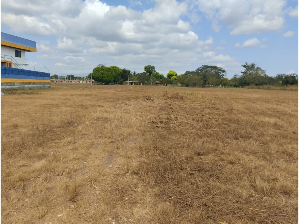 Se Vende Terreno de 12,542M2 sobre la Vía Interamericana en Aguadulce - 6