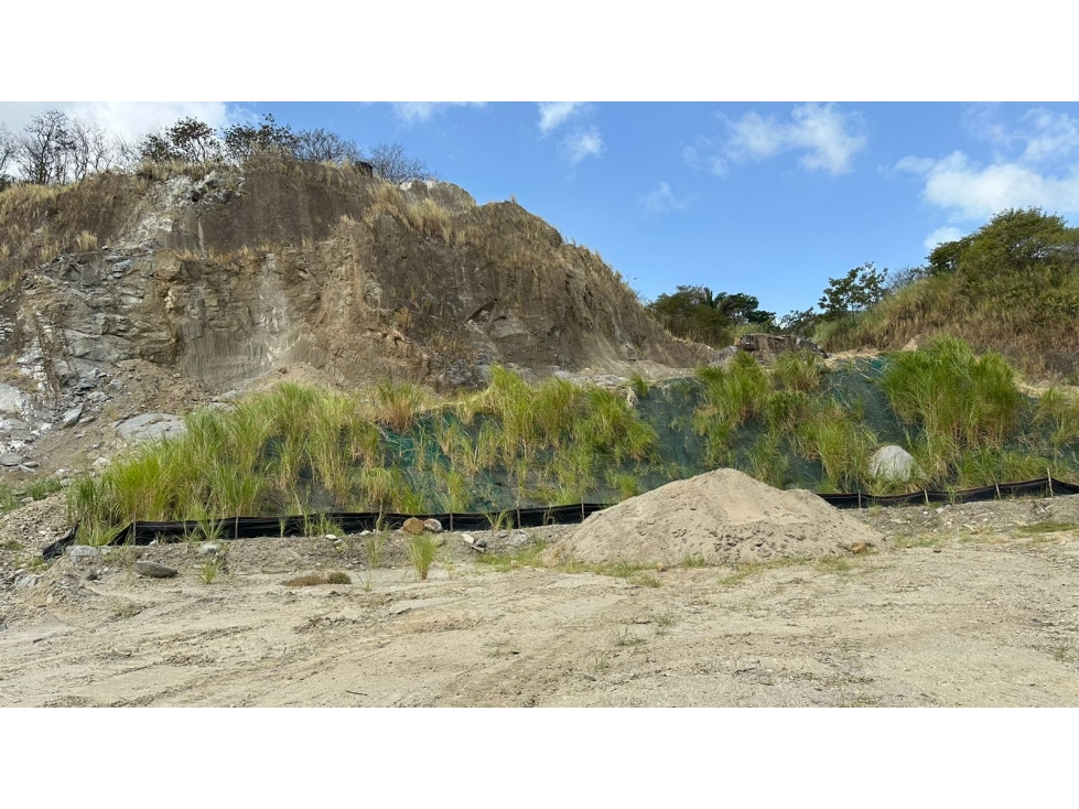 Se Vende Finca de 103 Hectáreas en San Martin de Pacora — foto 3