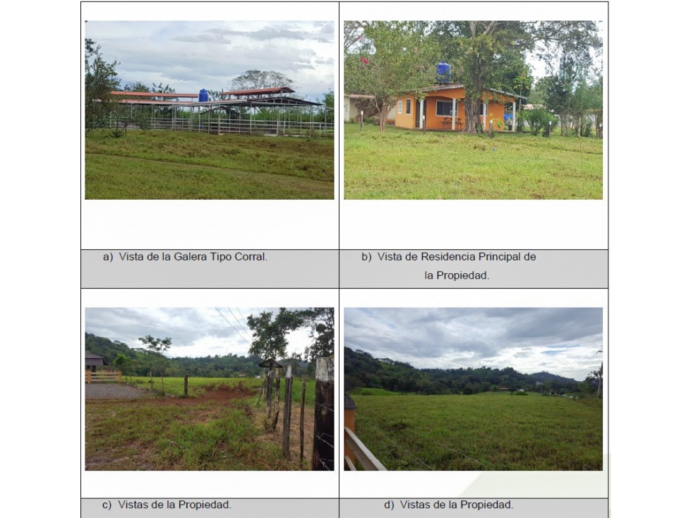 Se Vende Finca de 146 Hectáreas en Los Naranjos-David,Vía Panamericana — foto 4