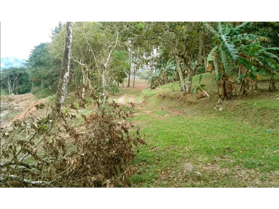 Se Vende Terreno Comercial de 40,242m2 en Via Transistmica