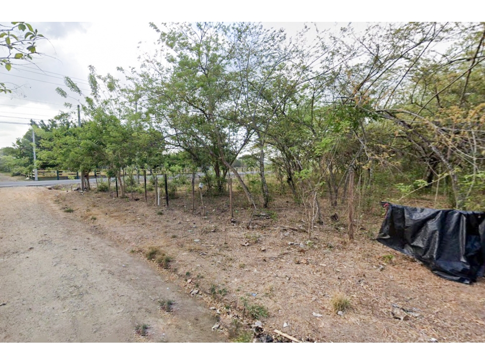 Se Vende Terreno de 62,000M2 en la Via a Playa Blanca - 2
