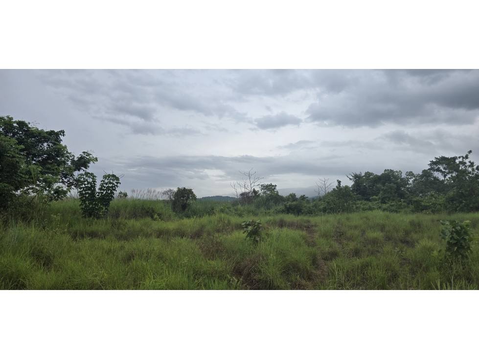 Se Vende Terreno Industrial de 31,450M2 en la salida Corredor Norte — foto 5