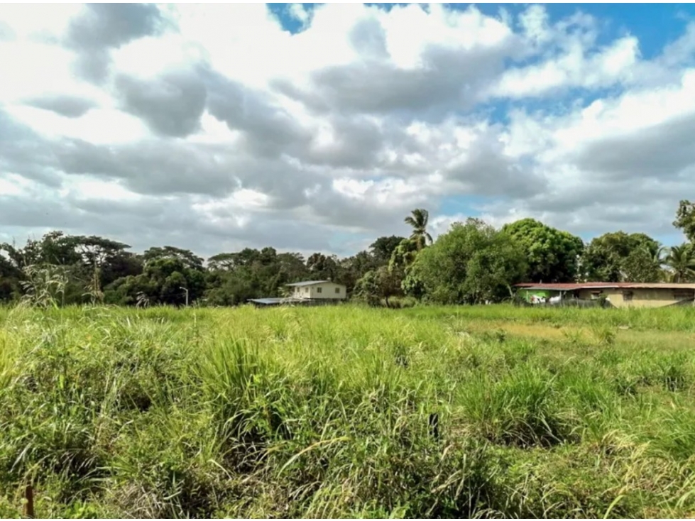 Inversiòn de Terreno Comercial de 6,560M2 en Vía Principal de Pedregal — foto 3