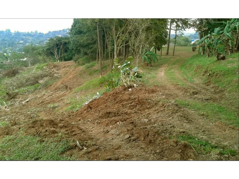 Se Vende Terreno Comercial de 40,242m2 en Via Transistmica — foto 2