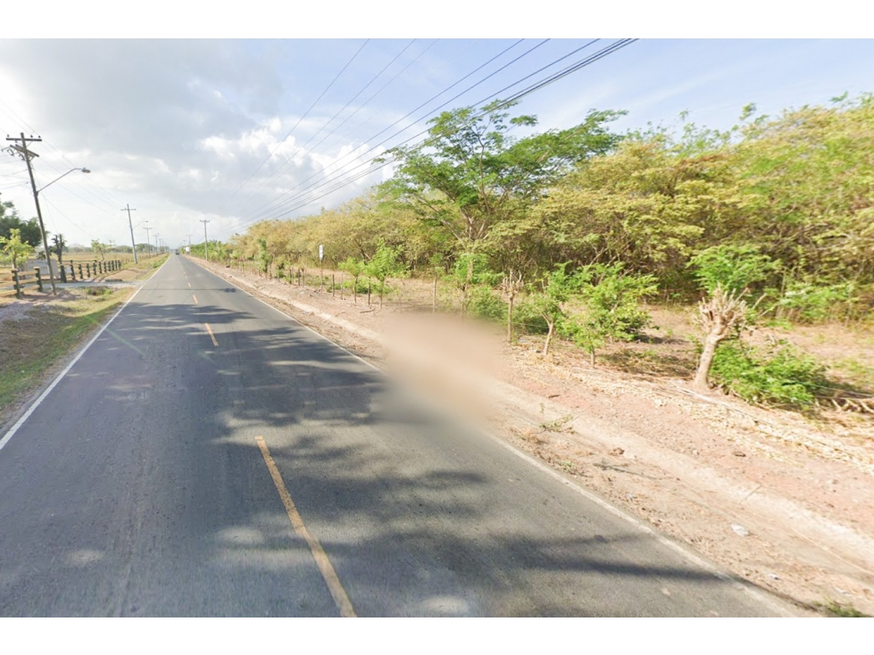 Se Vende Terreno de 62,000M2 en la Via a Playa Blanca - 3