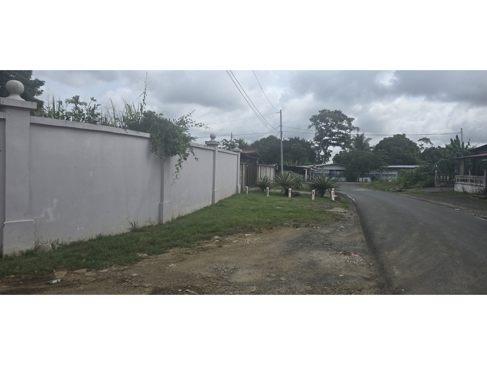 Se Vende Terreno de 28000M2 en el Coco de la Chorrera - 3