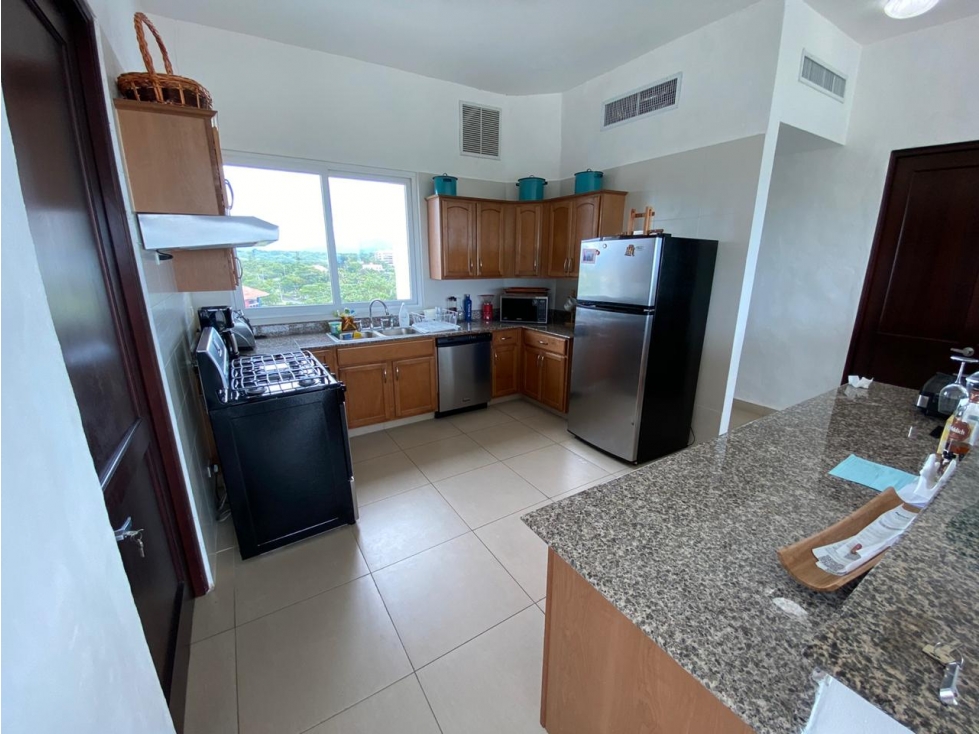 Luxury Beachfront Opportunity: Own Apartment in Punta Barco Now - 2