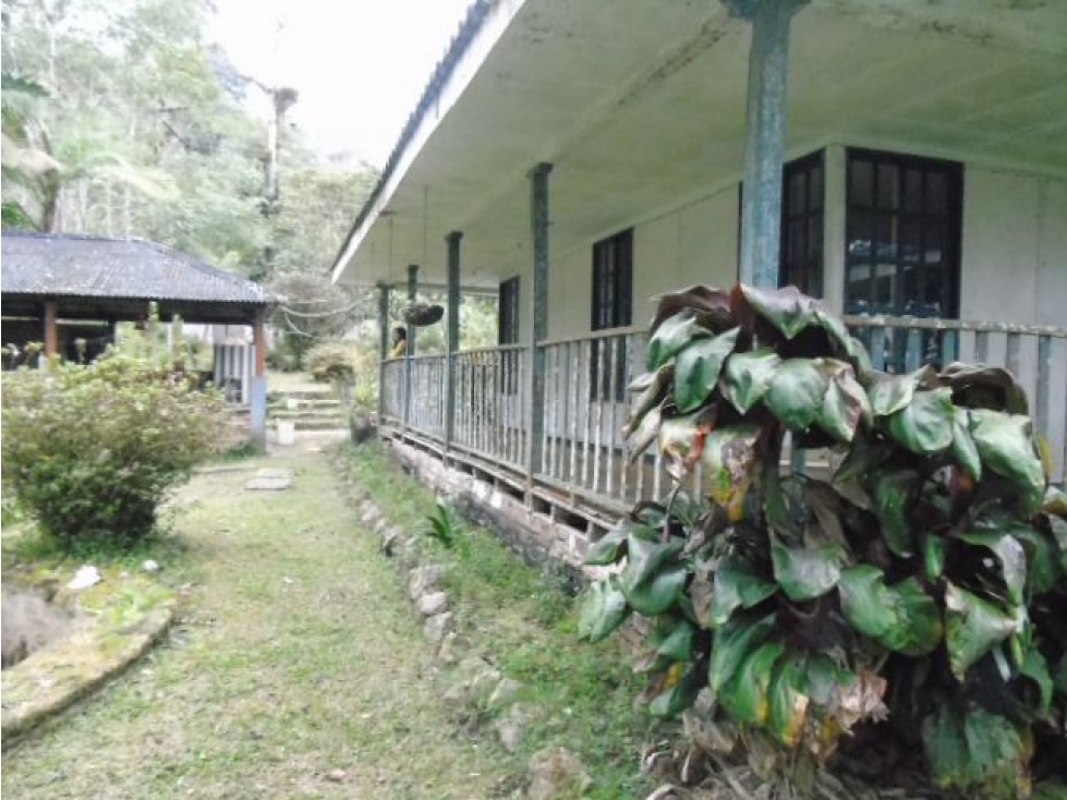 Finca en venta en Bitaco - 5