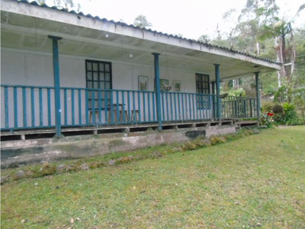 Finca en venta en Bitaco - 2
