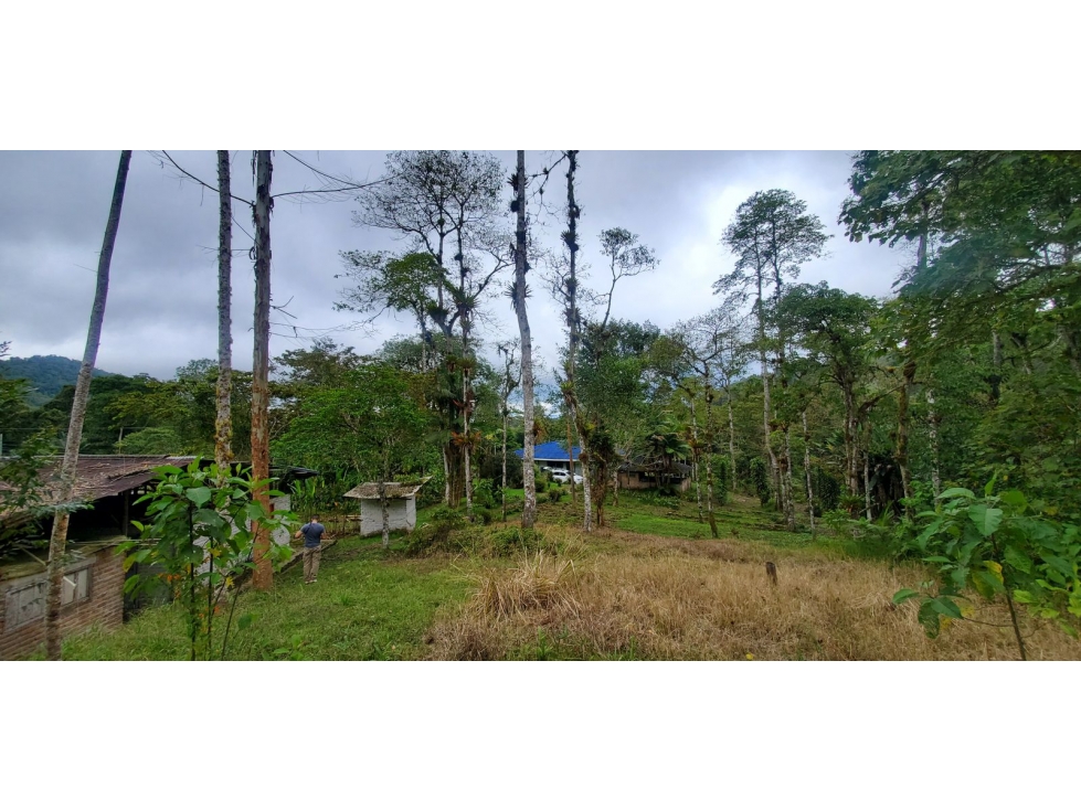 Finca en venta en Bitaco - 6