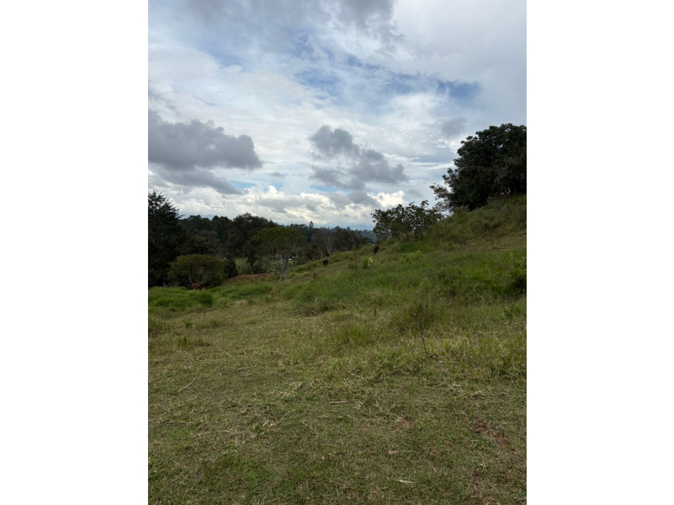 Venta lotes en Rionegro