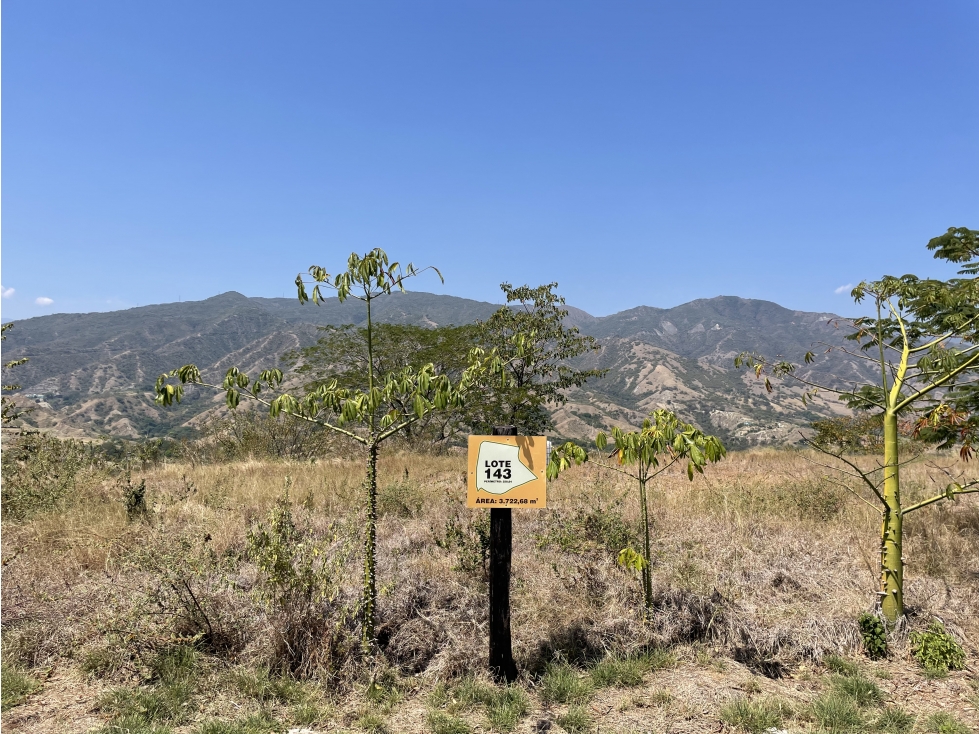 Venta hermoso lote a 7 minutos del parque Santa fe de Antioquia