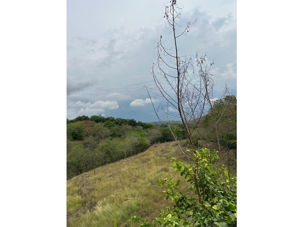 Proyecto de lotes a 5 minutos de Santa Fe de Antioquia