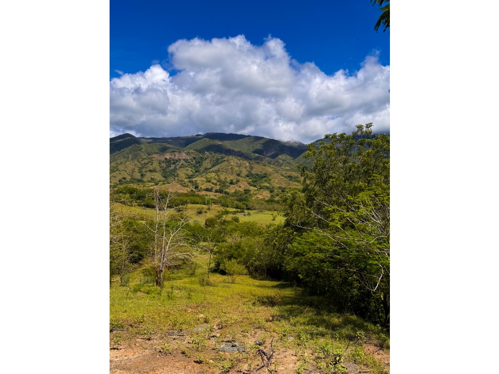 Venta de Excelente lote ubicado en Santa fe de Antioquia — foto 3
