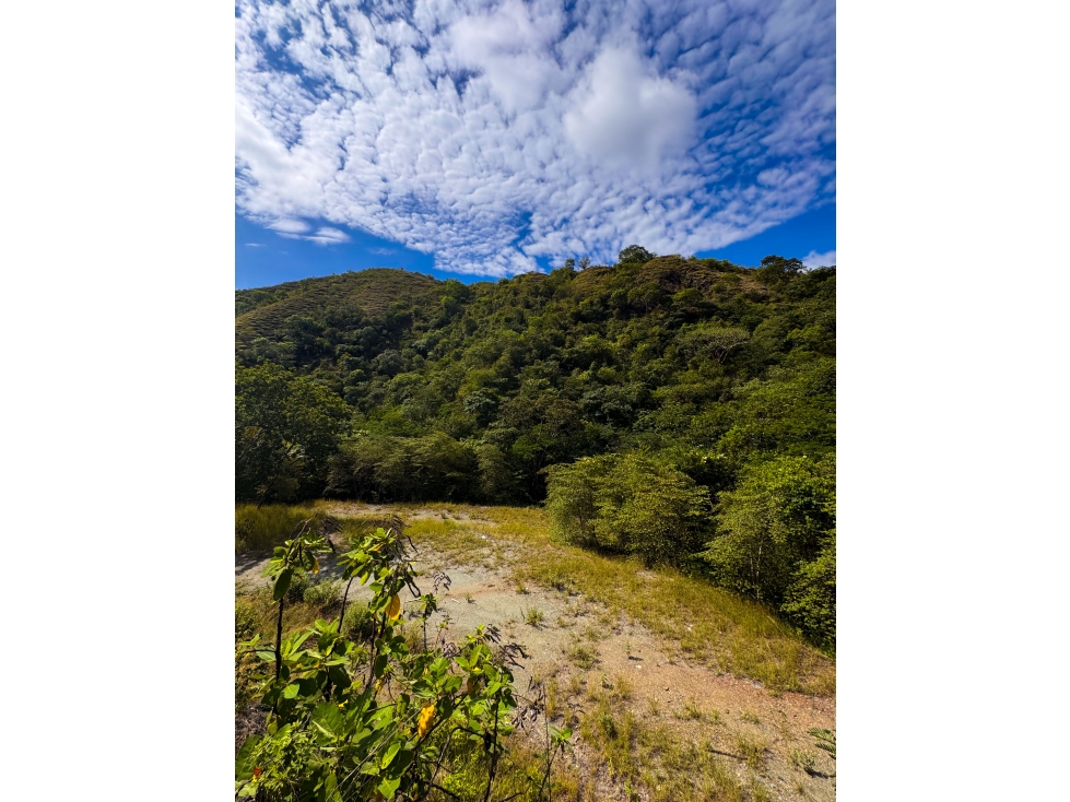 Venta lotes en Santa Fe de Antioquia a 7 minutos del parque — foto 3