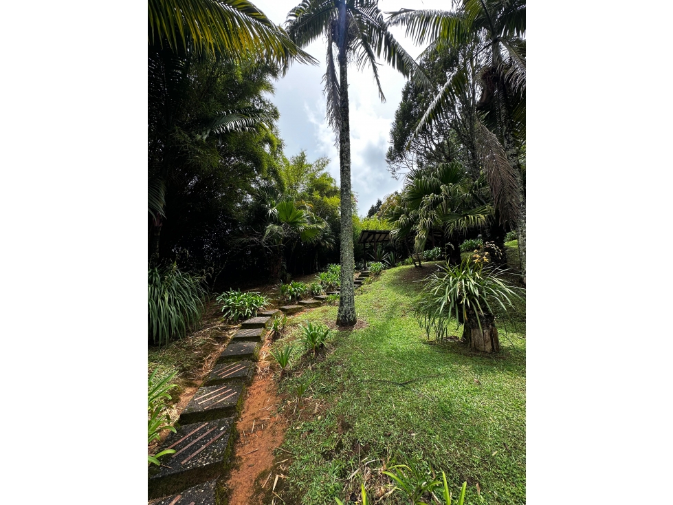 Finca en venta Guarne vereda La Hondita — foto 6