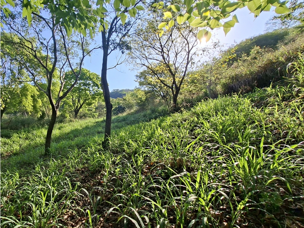Lote Campestre de 2.000 m2 en Venta en Tigrera, Vía Minca, Santa Marta