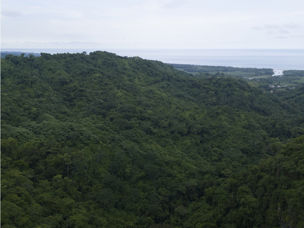 Finca 100 Hectáreas Venta, Vía Ciudad Perdida, Santa Marta. — foto 6