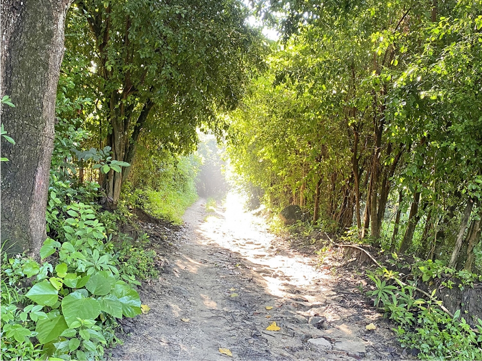 Lote Campestre de 2.000 m2 en Venta en Tigrera, Vía Minca, Santa Marta — foto 5
