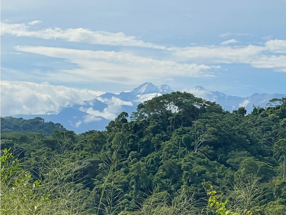 Finca 100 Hectáreas Venta, Vía Ciudad Perdida, Santa Marta. — foto 2