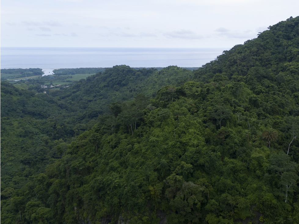 Finca 100 Hectáreas Venta, Vía Ciudad Perdida, Santa Marta. — foto 4