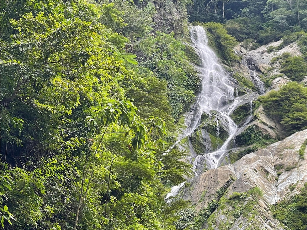 Finca 100 Hectáreas Venta, Vía Ciudad Perdida, Santa Marta. — foto 3