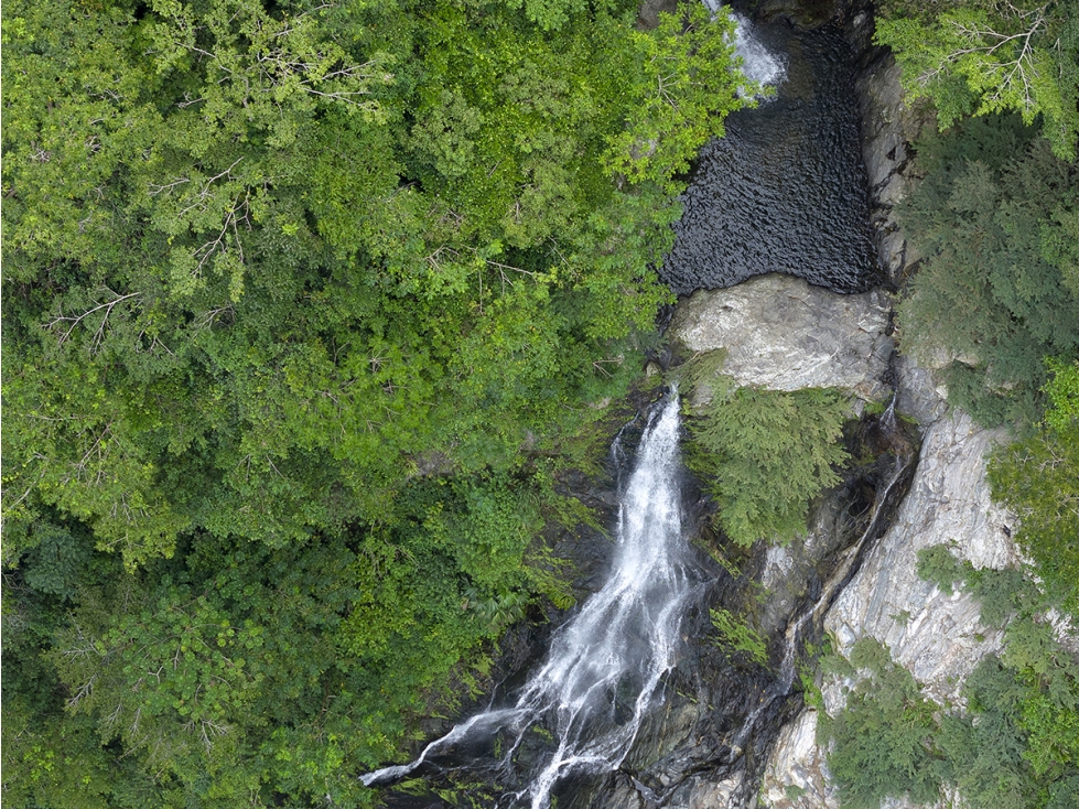 Finca 100 Hectáreas Venta, Vía Ciudad Perdida, Santa Marta. — foto 5