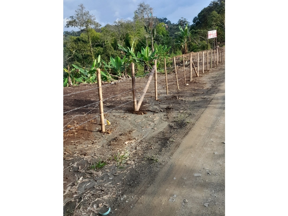 FINCA EN VENTA - SECTOR BELALCAZAR, A ORILLA DE CARRETERA — foto 3