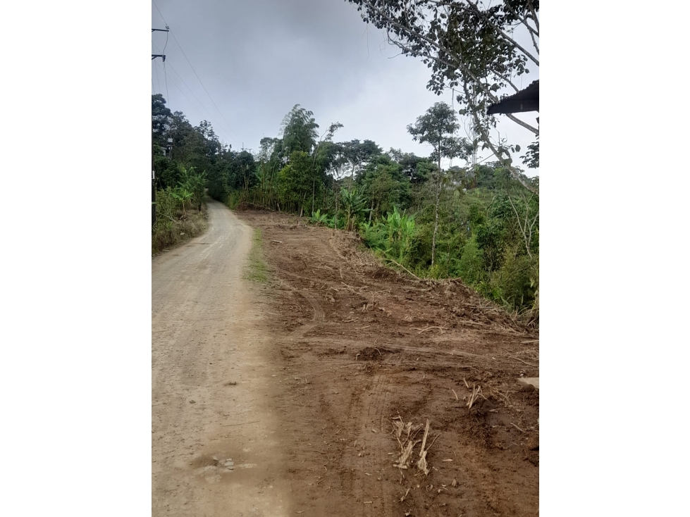 FINCA EN VENTA - SECTOR BELALCAZAR, A ORILLA DE CARRETERA — foto 2