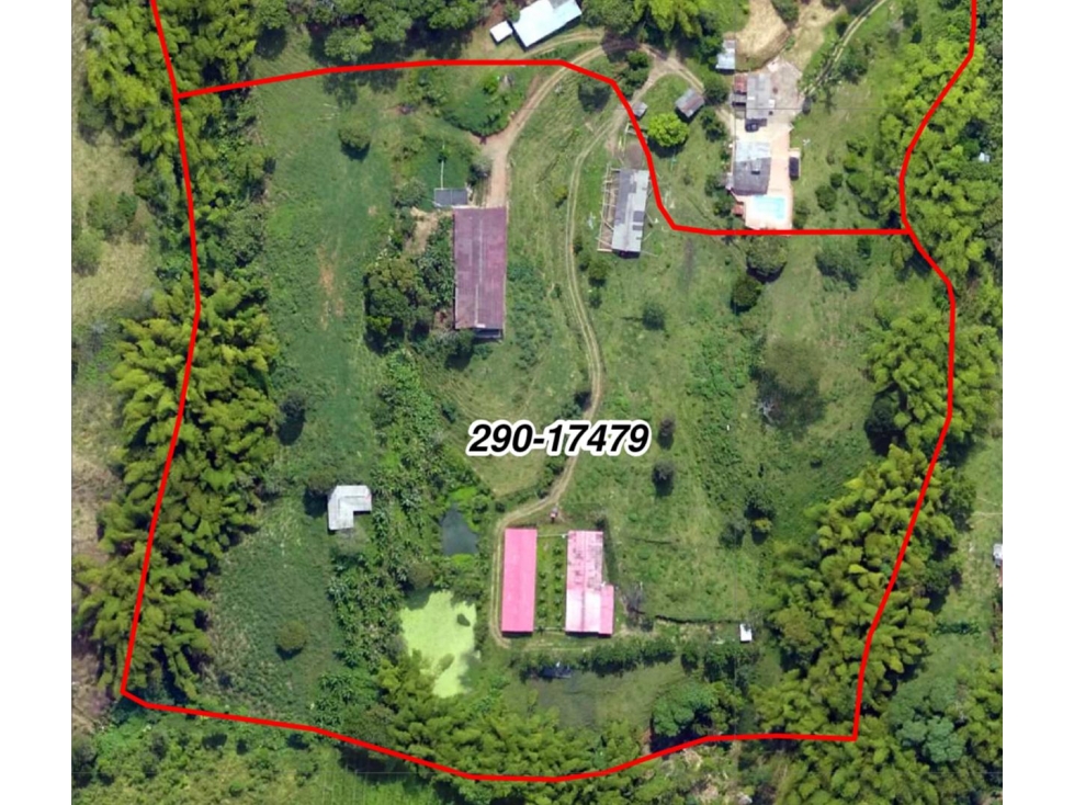FINCA EN VENTA - SECTOR COMBIA; VEREDA LA HONDA, FINCA LA CIMA
