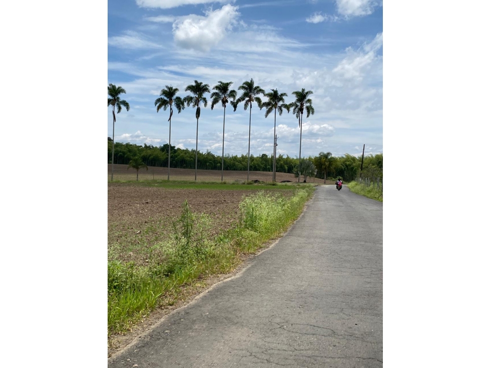 LOTE EN VENTA - SECTOR CERRITOS, VEREDA LOS PLANES