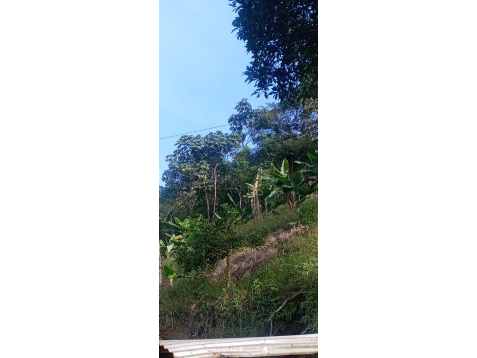 FINCA LOTE EN VENTA - SECTOR COMBIA ALTA, CERCA DE MINAS DEL SOCORRO — foto 2