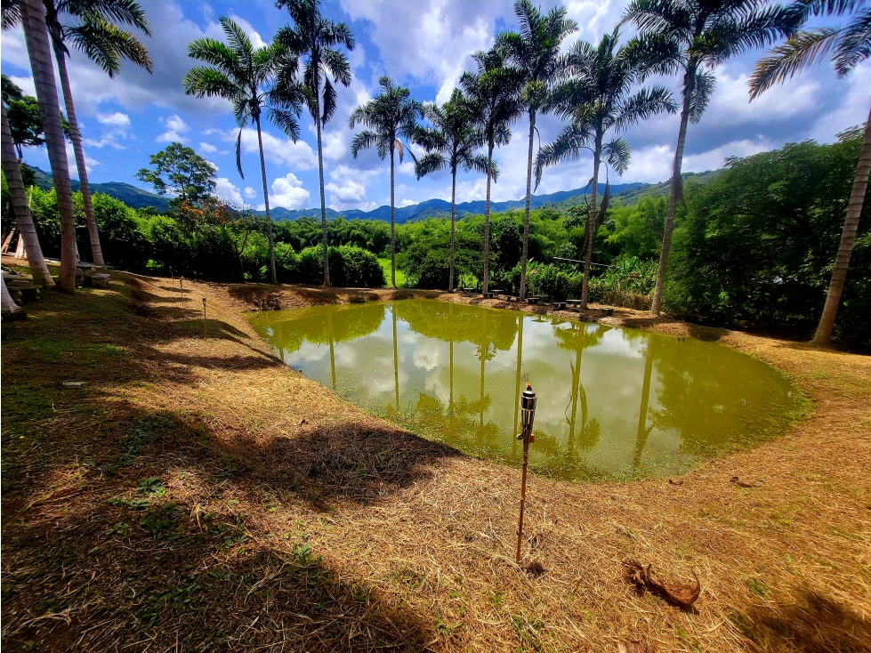 SE VENDE O PERMUTA FINCA CAMPESTRE - SECTOR COMBIA, VÍA MARSELLA — foto 5