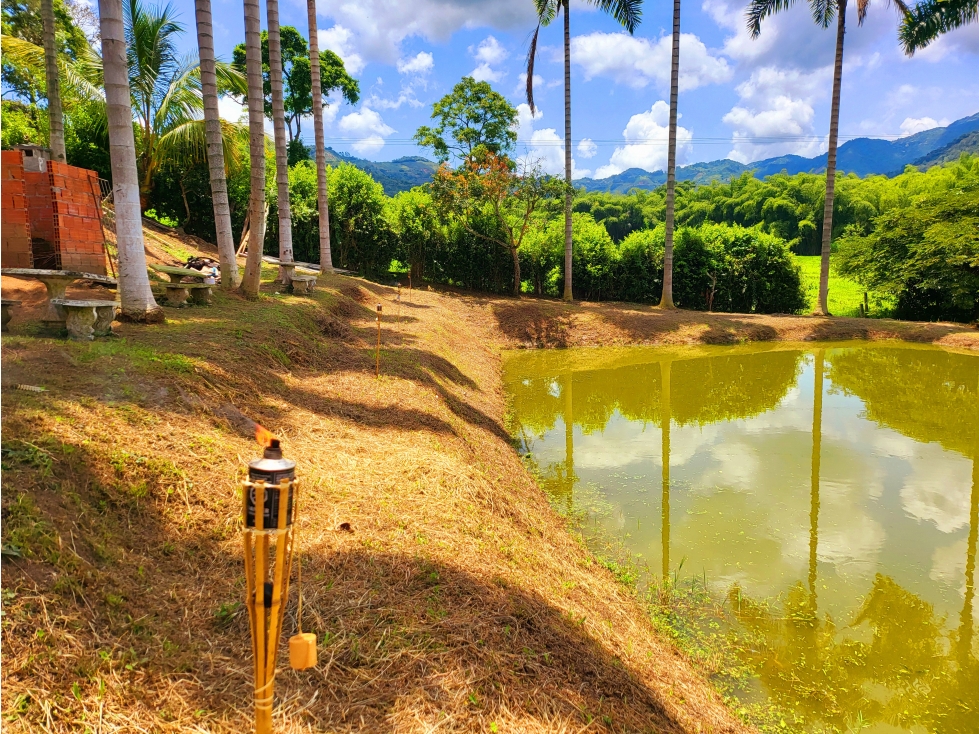 SE VENDE O PERMUTA FINCA CAMPESTRE - SECTOR COMBIA, VÍA MARSELLA — foto 6