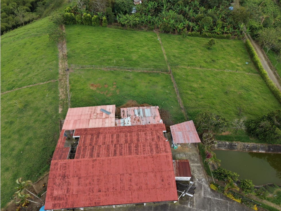 HACIENDA EN VENTA - SECTOR ALCALÁ, VEREDA EL CONGAL BAJO — foto 6
