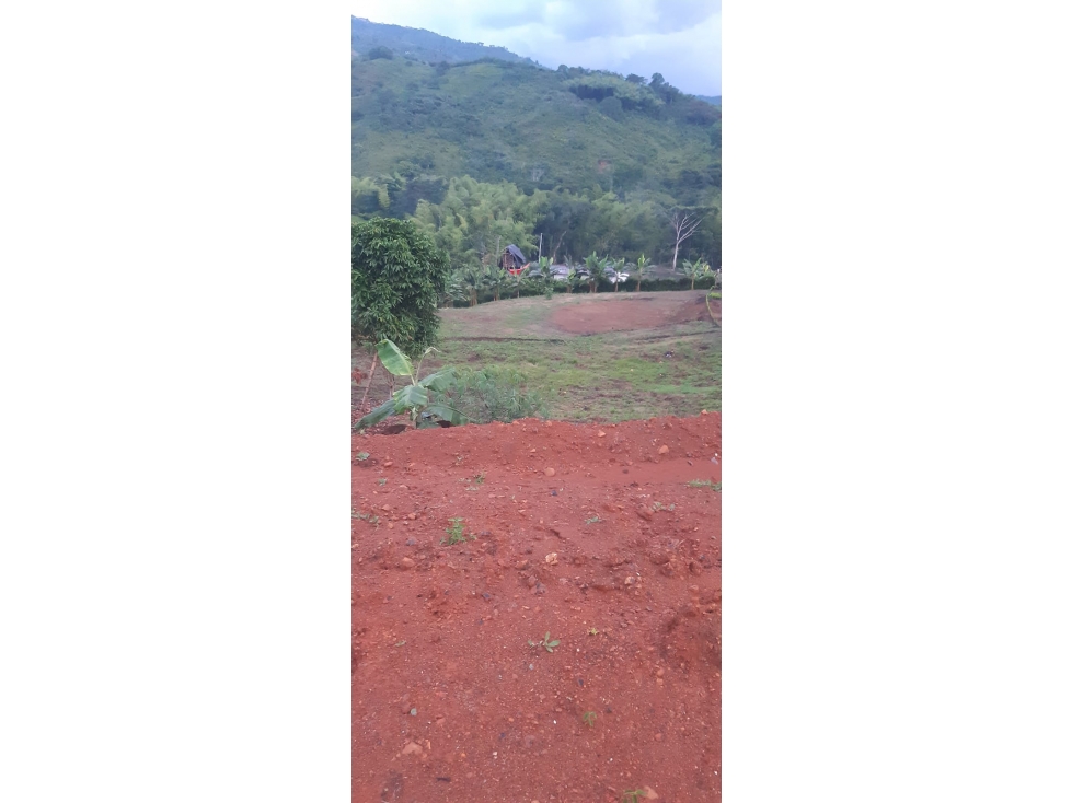 LOTE 1 EN VENTA; VÍA PEREIRA - MEDELLÍN - 3
