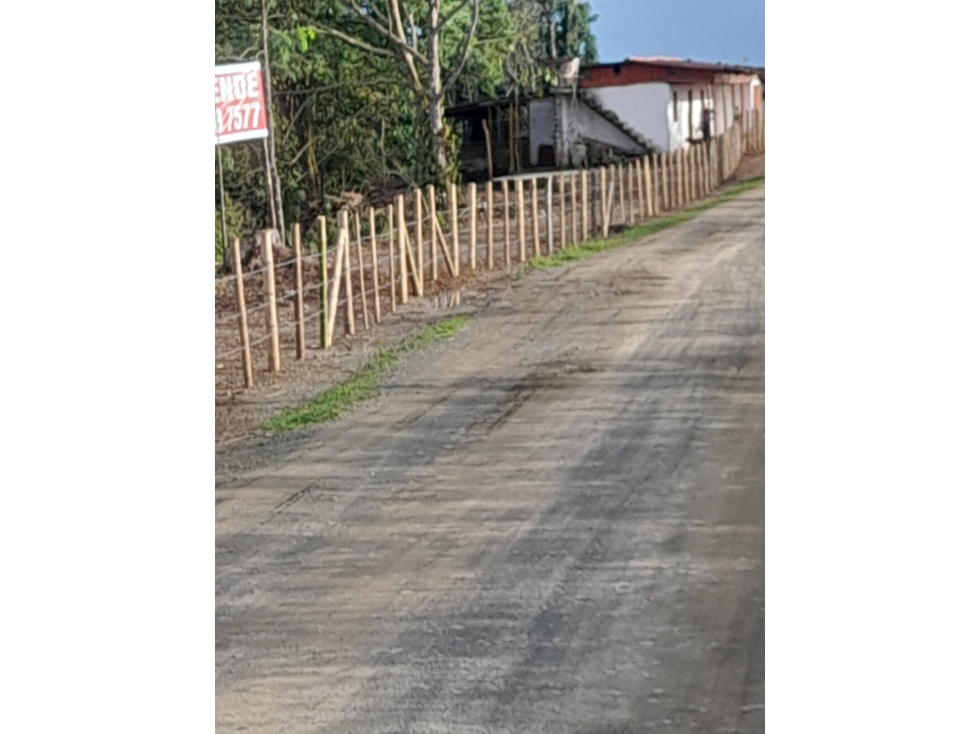 FINCA EN VENTA - SECTOR BELALCAZAR, A ORILLA DE CARRETERA — foto 4