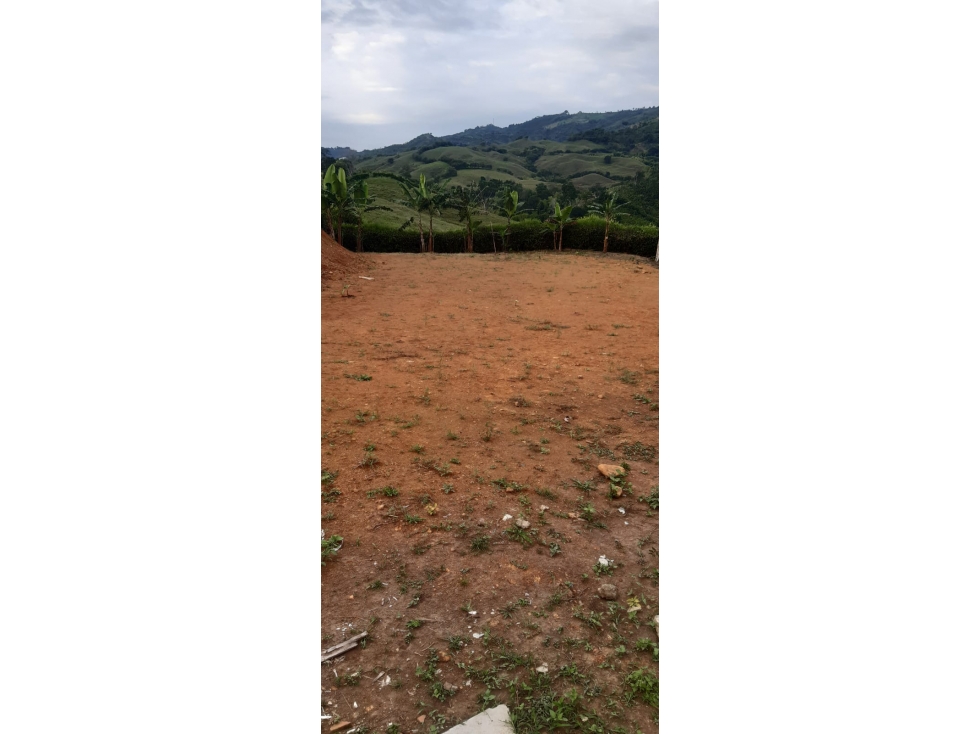 LOTE 1 EN VENTA; VÍA PEREIRA - MEDELLÍN - 4