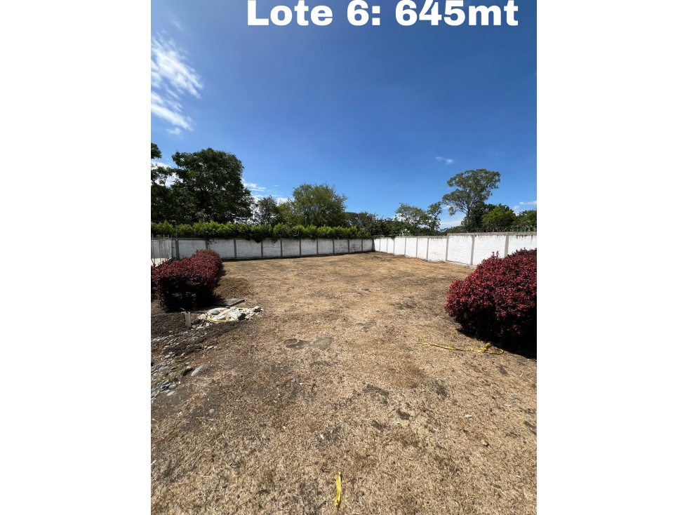 LOTES EN VENTA - SECTOR ANDALUCÍA VALLE, SOBRE LA CARRETERA 5ta — foto 3