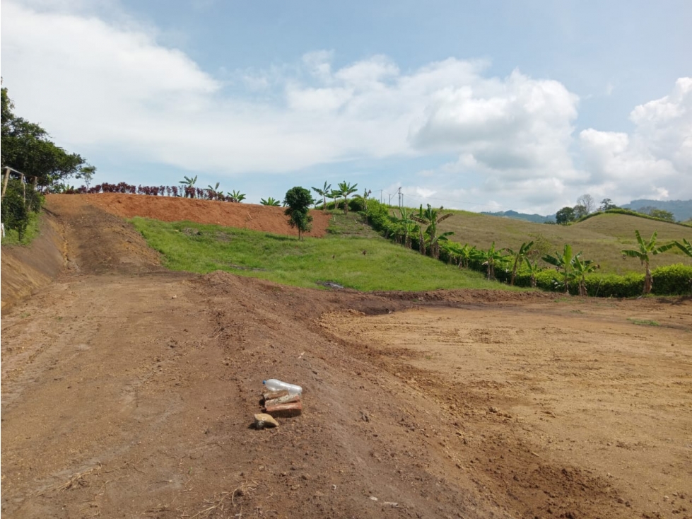 LOTE 1 EN VENTA; VÍA PEREIRA - MEDELLÍN - 1