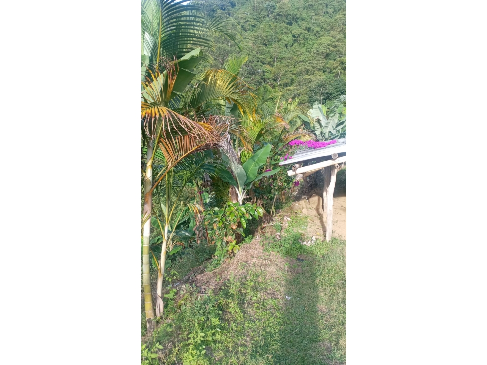 FINCA LOTE EN VENTA - SECTOR COMBIA ALTA, CERCA DE MINAS DEL SOCORRO