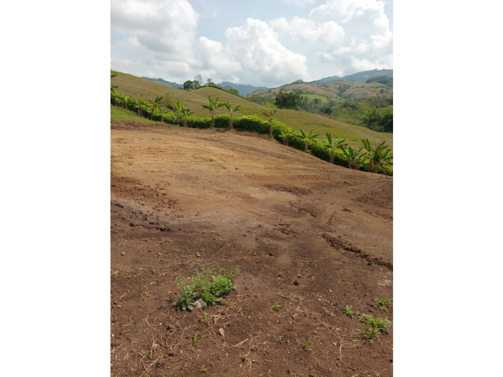 LOTE 1 EN VENTA; VÍA PEREIRA - MEDELLÍN - 5