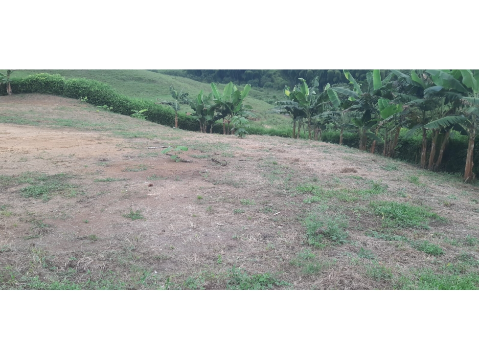 LOTE 2 EN VENTA; VÍA PEREIRA - MEDELLÍN - 5