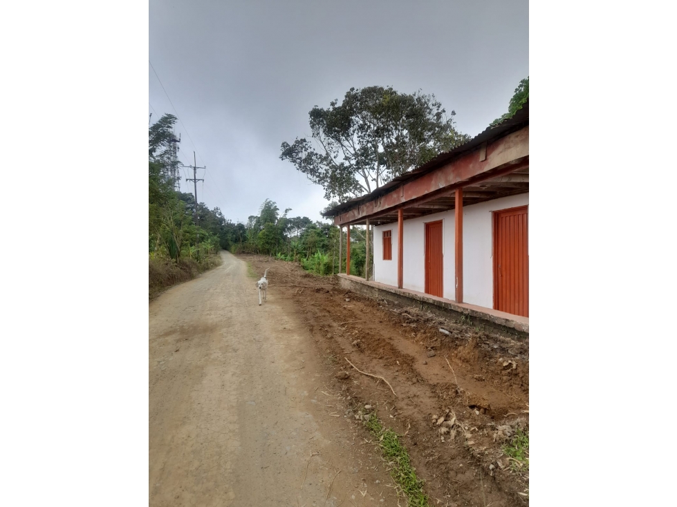 FINCA EN VENTA - SECTOR BELALCAZAR, A ORILLA DE CARRETERA — foto 6