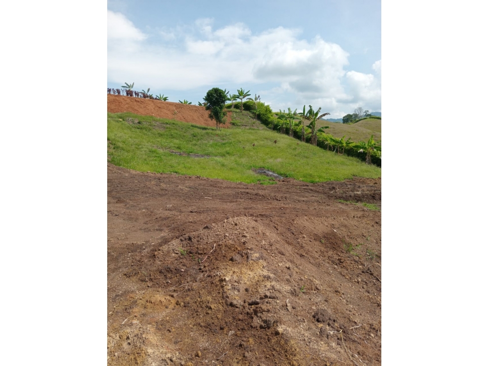 LOTE 1 EN VENTA; VÍA PEREIRA - MEDELLÍN - 6